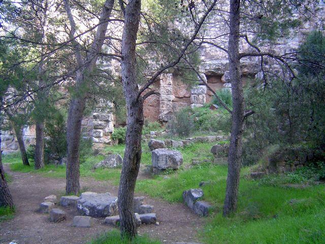 The Sagunto pagan forest?