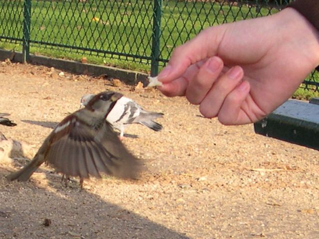 Jim attracts new friends