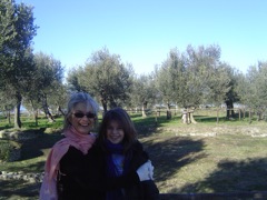 The olive groves where the villa stood and Olivia's name originated