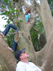 To teh Mt Cootha gardens for a breakfast