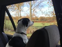 Off to Yolande's farm for a few chores whilst Yolande was in Bordeaux