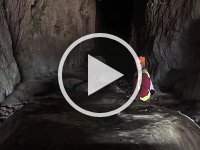 video- Paulie has gotten the hang of spelunking splendour