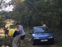 19th - Paulie and Stephen spend some days on Yolande's farm with Daniel.