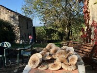 That evening chef Yolande made a delicious mushroom dinner back in her village house.