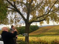 After lunch it was time to explore a few Gaillac vineyards. First up...Domaine Vayssette