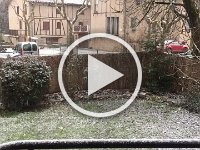 Jan2019Snow  Video - Some light snow.