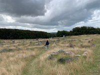 ... with burial sites shaped Viking ships