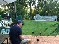 Stephen chats to his magpie pals