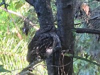 April 20 - a visitor outside of the guest bathroom