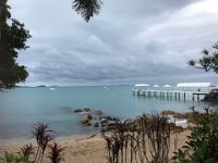 Back onshore at Airlie Beach.