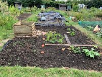 In Oxford it's time to prepare the soil for winter at Keno and Jame's new allotment