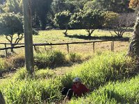 Whilst trying to hide behind a tree on her morning walk with Jan and Stephen, Paulie's plans change and she ends up in the grass