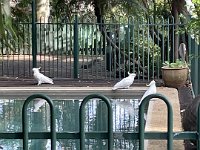 local visits drop in for a drink and chat