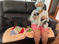 One resident dog & one who joins hospice carer on her shifts kept Paulie company