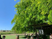 Jan 15 - at the Howard Vineyard in the Adelaide Hills Diana and Olivia enjoy the sunshine