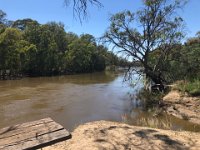 ...at the Busy Bend Reserve