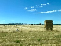 Heading through the Barossa