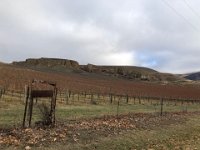 Up Felton Rd (home of Mt Difficulty & Felton Rd Pinot Noirs) in Bannockburn