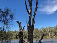 Briefly over the border into Victoria near Mildura