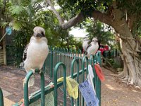 March 15 - locals dropped in to welcome them home.