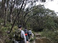 13th - Back in Adelaide the guys specnd a night with pals David & Jane. But first a walk up Mt Lofty.