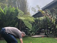 22nd- still visiting chickens. Owner Kirsten is not only still in at their Woolgoolga pad, but she saved a drowning tourist! Saved this father's life but lost some of her clothes she that took off to swim out to him!