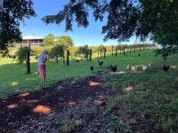 Paulie shares her rosé critique with the locals