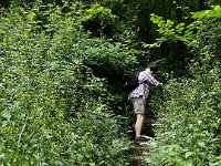 Let the climbing begin. A overgrown path rediscovered