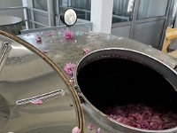 In Gabarevo, Stara Zagora, rose oil is made for Lush