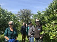 A walk along the Thames and through  Oxford Meadows begins