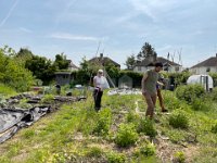 ... a trip to their allotment