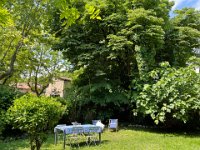 Lovely and lush garden