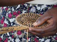 In Bigodi the crew met a group of women who harvest wild fibres .