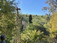 The view from the back veranda was lovely- spotting kangaroos