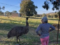 19th - time to head home via the outback so time to say goodbye to the local emu