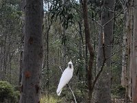 25th - Paulie's morning walk & chat with the locals