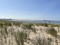 The dune in the background across the basin is the Dune du Pilat. It's the highest sand dune in Europe.