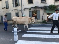 The parade in is led by Madame Veronique Vache .