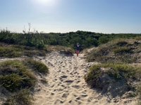 Untouched dunes. A video will pop up on "AthoCinema" (film archive) at some stage.