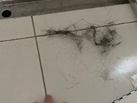 A hell of a lot of hair