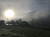 Paulie's Misty Morning walk