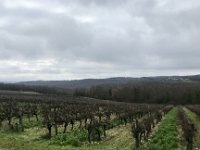 28th - as the end of this 3 month stay in France draws nearer, the guys want to get out and about once more. Enroute via the vinyards to Gaillac