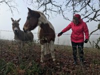 13th - Stephen flew home the day before and it was time to check on Yolande's equine pals at her Mirgat farm