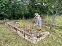 Reclaiming Yolande's veggie garden