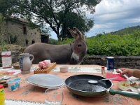 Arthur joins us and asks for a slice "of that please".