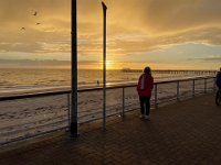 And in the evening after her work, Olivia met the guys at Henley Beach for a walk