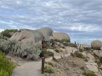 Wind worn granite takes various forms. A bull?