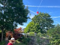 29th - someone enjoyed a morning balloon ride over Thames Valley. We enjoyed watching them.