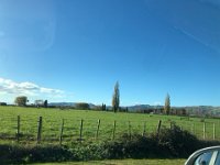 Jumping into a hire car they head 90 minutes from the airport to Pete and Marg's new home in Te Aroha