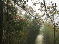 Back in Saint Antonin Stephen and Paulie went for a morning stroll up one of the hills  in the mist